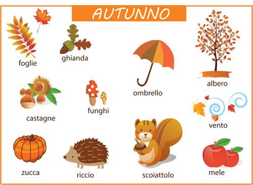 Le parole e i disegni dell'autunno - scuola primaria -